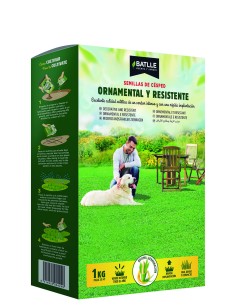 CESPED ORNAMENTAL Y RESISTENTE 2