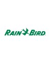 RainBird